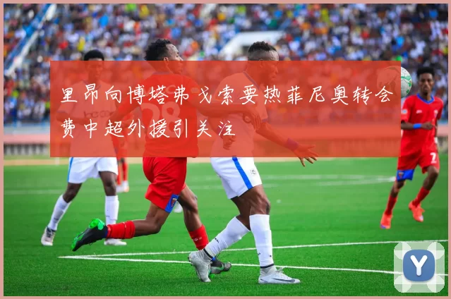里昂向博塔弗戈索要热菲尼奥转会费中超外援引关注