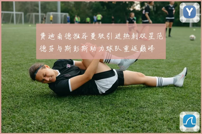 费迪南德推荐曼联引进热刺双星范德芬与斯彭斯助力球队重返巅峰