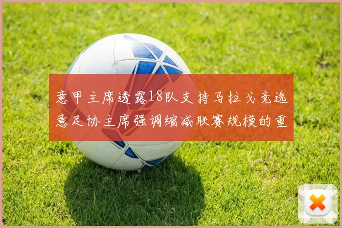 意甲主席透露18队支持马拉戈竞选意足协主席强调缩减联赛规模的重要性